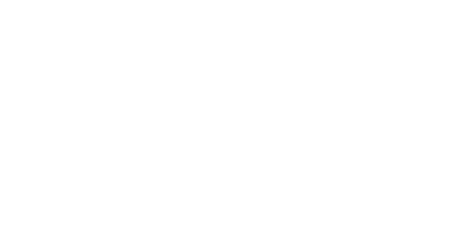 Dudley Metropolitan Borough Council Logo